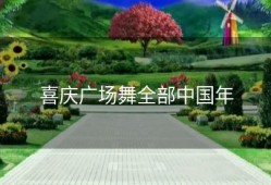 喜庆广场舞全部中国年