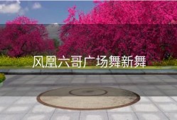 风凰六哥广场舞新舞