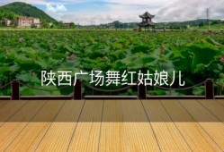 陕西广场舞红姑娘儿