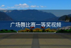 广场舞比赛一等奖视频