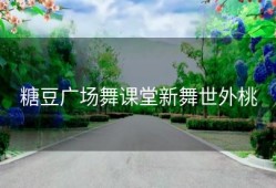 糖豆广场舞课堂新舞世外桃