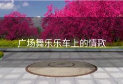 广场舞乐乐车上的情歌