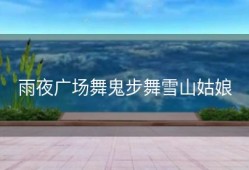 雨夜广场舞鬼步舞雪山姑娘