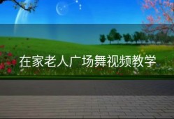 在家老人广场舞视频教学