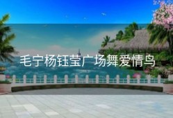 毛宁杨钰莹广场舞爱情鸟