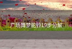 广场舞梦驼铃19步分解