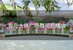 青岛大姨广场舞视频播放