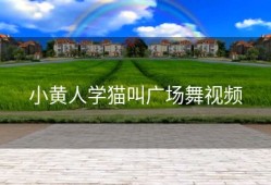 小黄人学猫叫广场舞视频