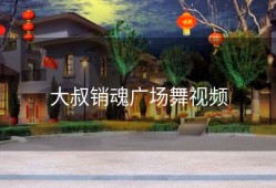 大叔销魂广场舞视频