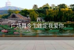 广场舞今生注定我爱你