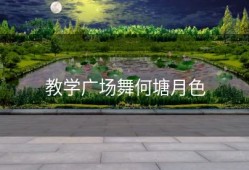 教学广场舞何塘月色