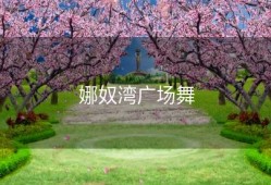 娜奴湾广场舞