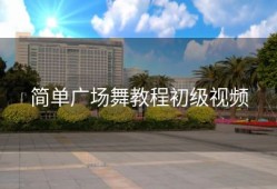 简单广场舞教程初级视频