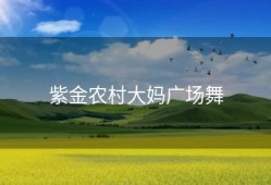 紫金农村大妈广场舞