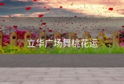 立华广场舞桃花运