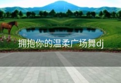 拥抱你的温柔广场舞dj