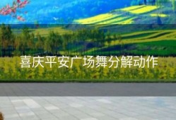 喜庆平安广场舞分解动作