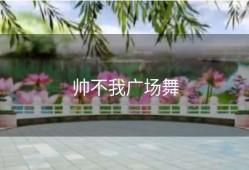 帅不我广场舞