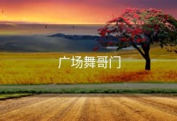 广场舞哥门
