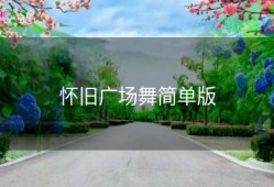 怀旧广场舞简单版