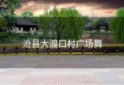 沧县大渡口村广场舞