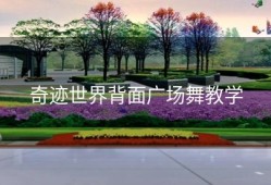 奇迹世界背面广场舞教学