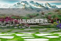 广场舞欢乐舞泼水