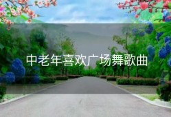 中老年喜欢广场舞歌曲