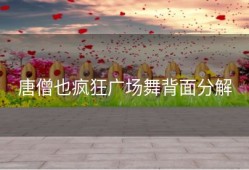 唐僧也疯狂广场舞背面分解