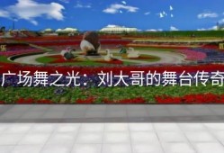 广场舞之光：刘大哥的舞台传奇