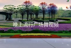 晚上流行广场舞视频