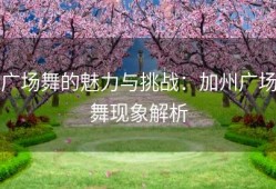 广场舞的魅力与挑战：加州广场舞现象解析