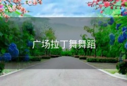 广场拉丁舞舞蹈