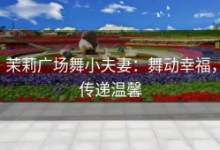 茉莉广场舞小夫妻：舞动幸福，传递温馨