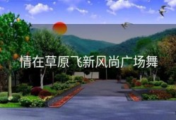 情在草原飞新风尚广场舞