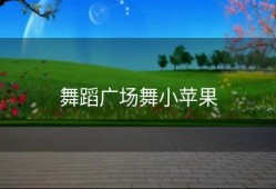 舞蹈广场舞小苹果