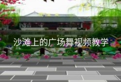 沙滩上的广场舞视频教学