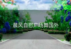 晨风自慰广场舞国外