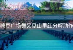糖豆广场舞又见山里红分解动作