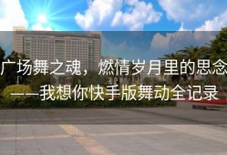 广场舞之魂，燃情岁月里的思念——我想你快手版舞动全记录