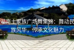 湖南土家族广场舞集锦：舞动民族风华，传承文化魅力