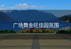 广场舞金旺佳园氛围