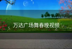 万达广场舞春晚视频