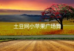 土豆网小苹果广场舞