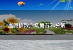 高原情歌广场舞苏科分解