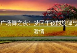 广场舞之夜：梦回午夜的旋律与激情