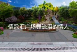 情歌汇广场舞流泪的情人