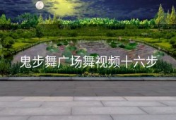 鬼步舞广场舞视频十六步
