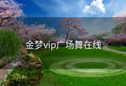 金梦vip广场舞在线