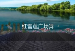红雪莲广场舞